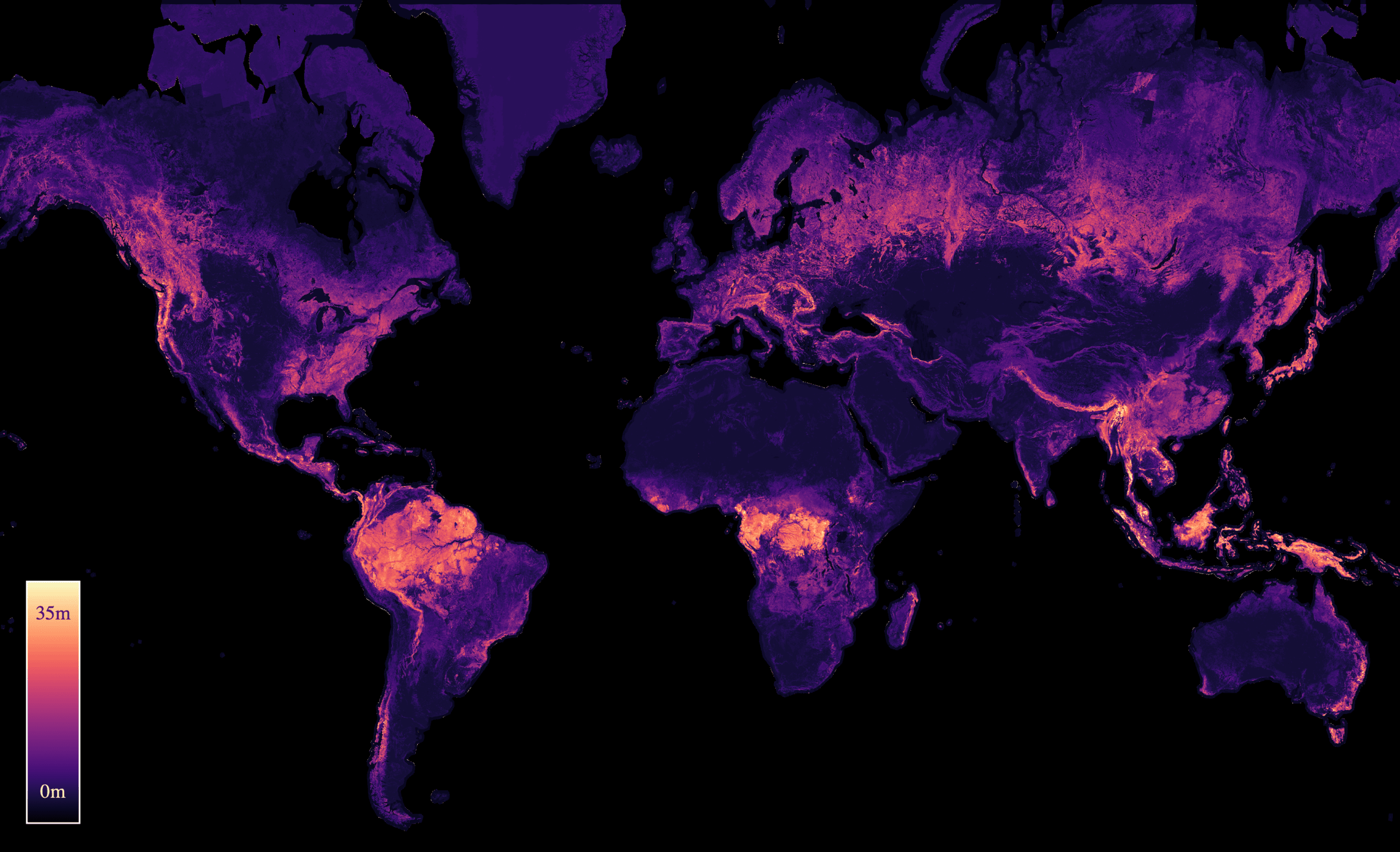 Global canopy height map showing forest heights across the world